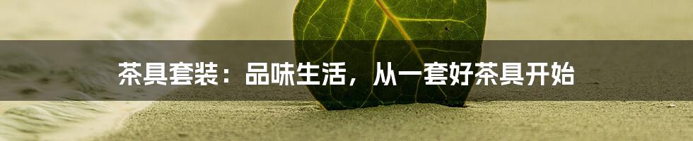 茶具套装：品味生活，从一套好茶具开始