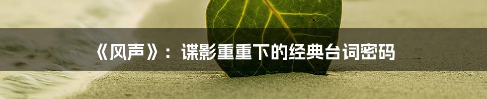 《风声》:谍影重重下的经典台词密码