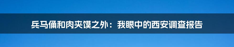 兵马俑和肉夹馍之外：我眼中的西安调查报告