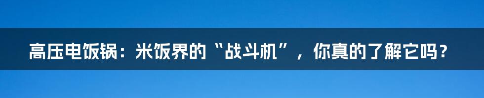 高压电饭锅:米饭界的“战斗机”,你真的了解它吗?