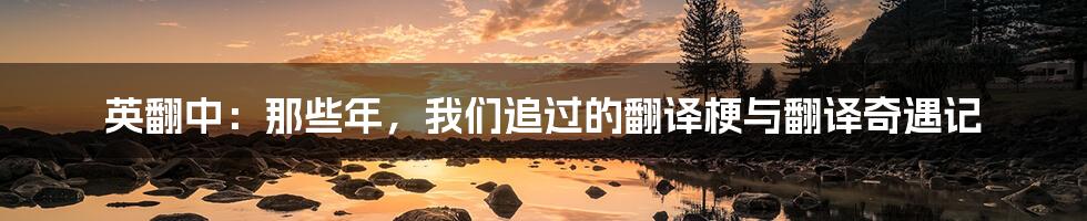英翻中:那些年,我们追过的翻译梗与翻译奇遇记