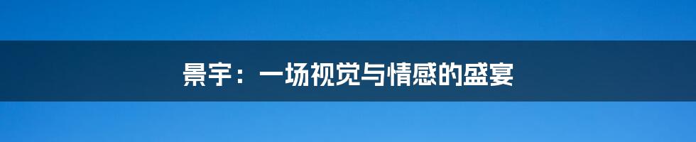 景宇:一场视觉与情感的盛宴