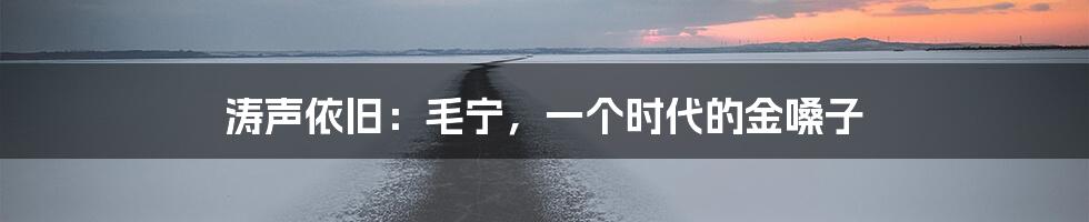 涛声依旧：毛宁，一个时代的金嗓子