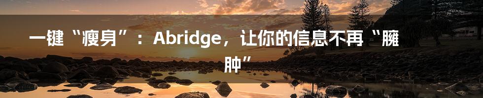 一键“瘦身”:Abridge,让你的信息不再“臃肿”