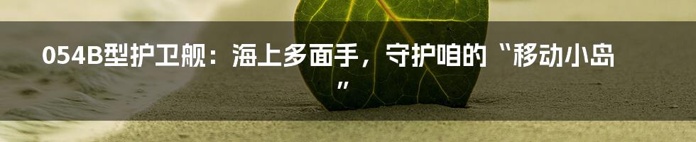 054B型护卫舰：海上多面手，守护咱的“移动小岛”