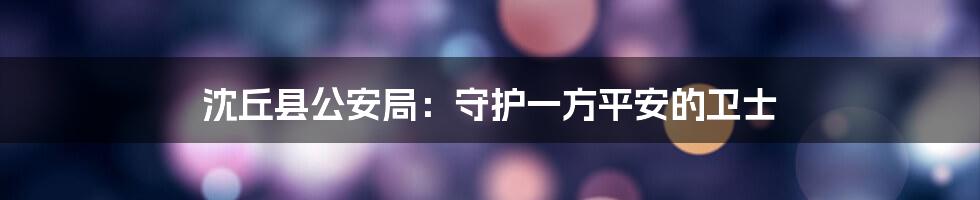 沈丘县公安局:守护一方平安的卫士