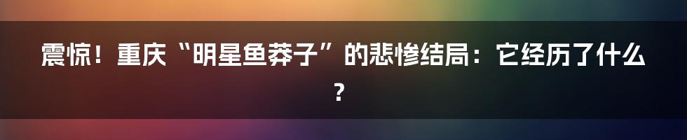 震惊!重庆“明星鱼莽子”的悲惨结局:它经历了什么?