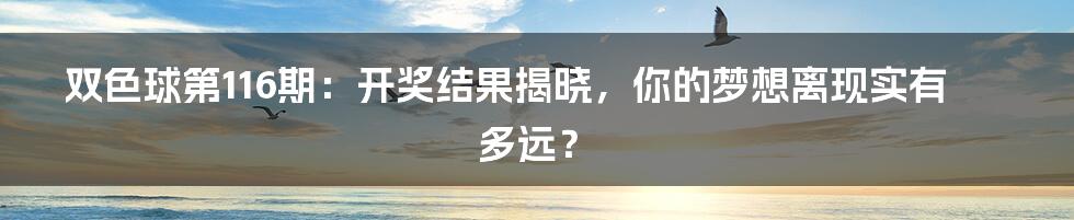 双色球第116期：开奖结果揭晓，你的梦想离现实有多远？