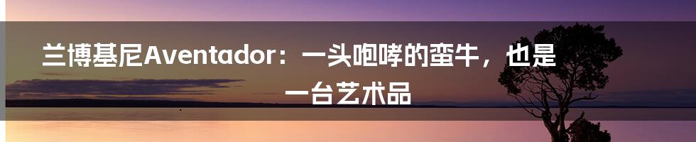兰博基尼Aventador:一头咆哮的蛮牛,也是一台艺术品