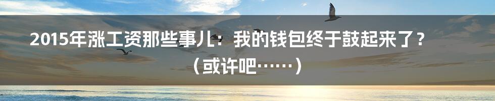 2015年涨工资那些事儿：我的钱包终于鼓起来了？（或许吧……）