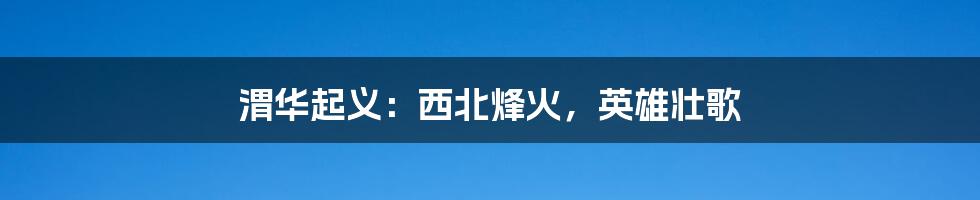 渭华起义:西北烽火,英雄壮歌