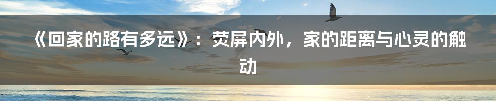 《回家的路有多远》:荧屏内外,家的距离与心灵的触动