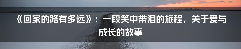 《回家的路有多远》:一段笑中带泪的旅程,关于爱与成长的故事