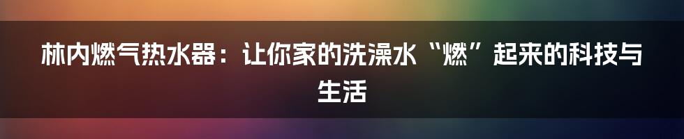 林内燃气热水器:让你家的洗澡水“燃”起来的科技与生活
