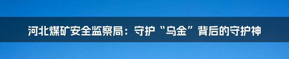 河北煤矿安全监察局:守护“乌金”背后的守护神