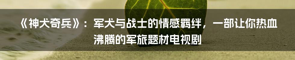 《神犬奇兵》：军犬与战士的情感羁绊，一部让你热血沸腾的军旅题材电视剧