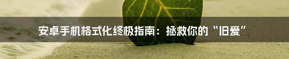 安卓手机格式化终极指南:拯救你的“旧爱”