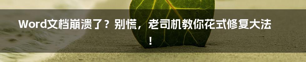 Word文档崩溃了?别慌,老司机教你花式修复大法!