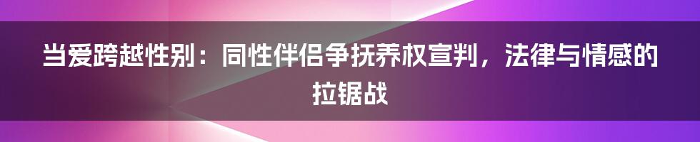 当爱跨越性别:同性伴侣争抚养权宣判,法律与情感的拉锯战