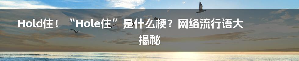 Hold住!“Hole住”是什么梗?网络流行语大揭秘