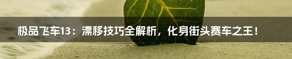 极品飞车13:漂移技巧全解析,化身街头赛车之王!