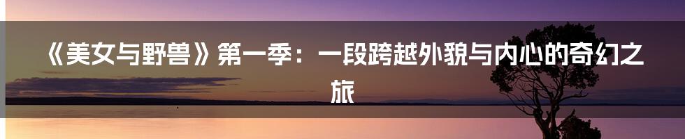 《美女与野兽》第一季:一段跨越外貌与内心的奇幻之旅