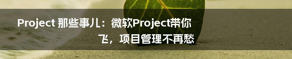 Project 那些事儿:微软Project带你飞,项目管理不再愁
