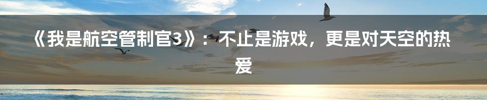 《我是航空管制官3》：不止是游戏，更是对天空的热爱