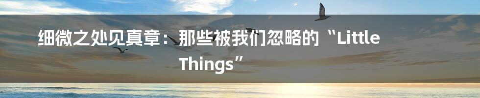 细微之处见真章:那些被我们忽略的“Little Things”