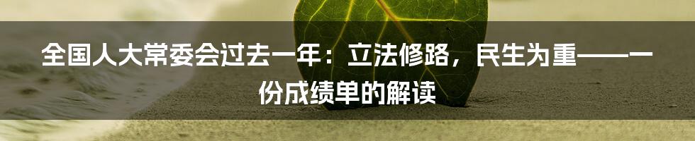 全国人大常委会过去一年:立法修路,民生为重——一份成绩单的解读