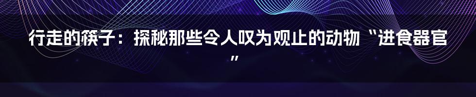 行走的筷子:探秘那些令人叹为观止的动物“进食器官”
