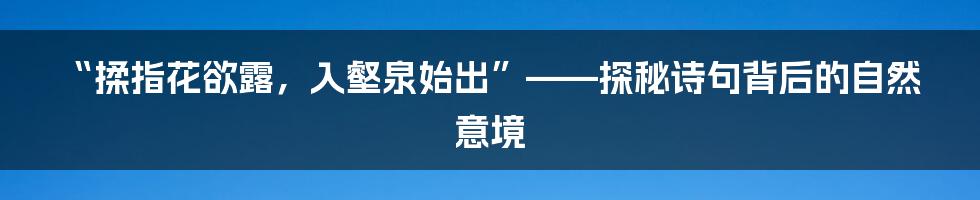 “揉指花欲露,入壑泉始出”——探秘诗句背后的自然意境
