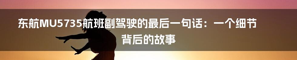 东航MU5735航班副驾驶的最后一句话：一个细节背后的故事
