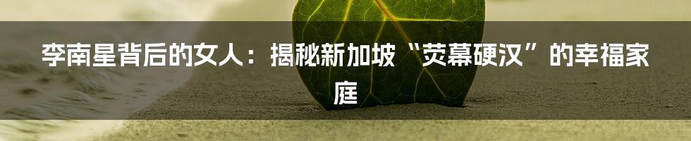 李南星背后的女人：揭秘新加坡“荧幕硬汉”的幸福家庭