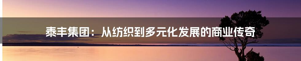 泰丰集团:从纺织到多元化发展的商业传奇