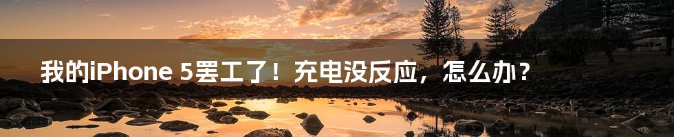 我的iPhone 5罢工了！充电没反应，怎么办？