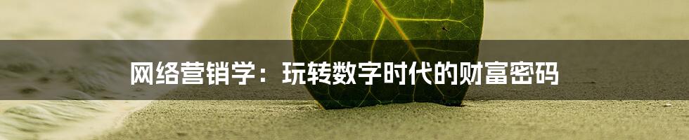 网络营销学:玩转数字时代的财富密码