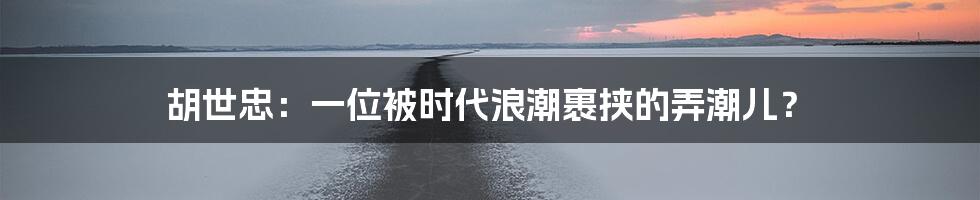胡世忠:一位被时代浪潮裹挟的弄潮儿?