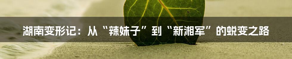 湖南变形记：从“辣妹子”到“新湘军”的蜕变之路