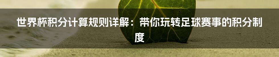 世界杯积分计算规则详解：带你玩转足球赛事的积分制度