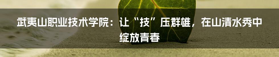 武夷山职业技术学院:让“技”压群雄,在山清水秀中绽放青春
