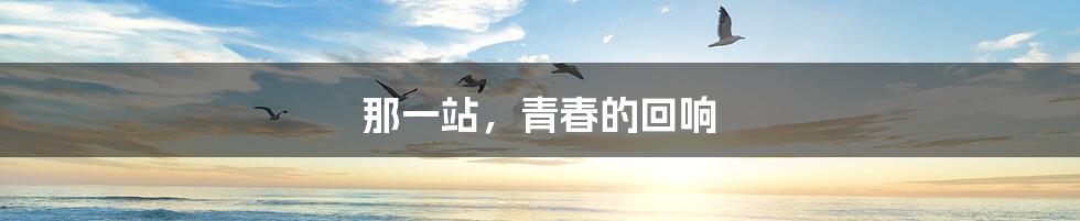 那一站，青春的回响