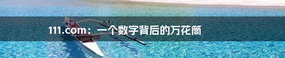 111.com：一个数字背后的万花筒