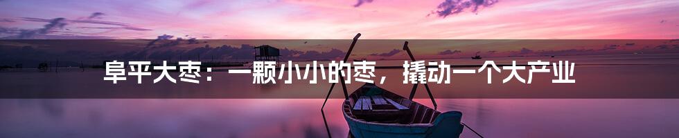 阜平大枣:一颗小小的枣,撬动一个大产业