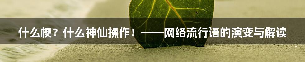 什么梗?什么神仙操作!——网络流行语的演变与解读