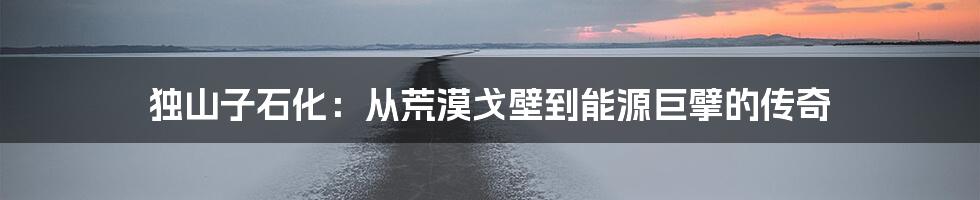 独山子石化:从荒漠戈壁到能源巨擘的传奇