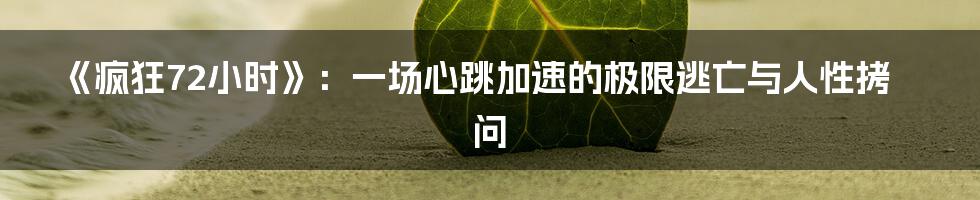 《疯狂72小时》：一场心跳加速的极限逃亡与人性拷问