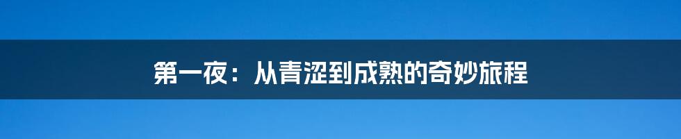第一夜：从青涩到成熟的奇妙旅程