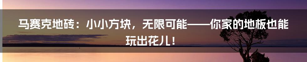 马赛克地砖:小小方块,无限可能——你家的地板也能玩出花儿!