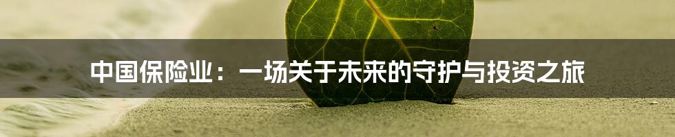 中国保险业:一场关于未来的守护与投资之旅
